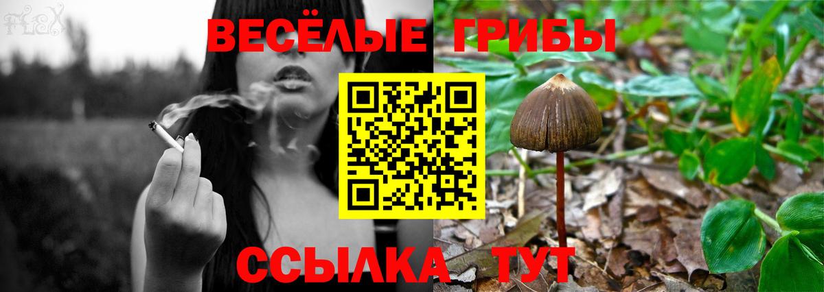 Узловая  Псилоцибиновые грибы Cubensis  Вход с VPN 
